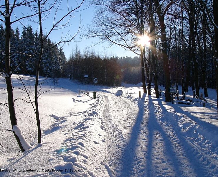 Am Saydaer Winterwanderweg (Lutz Peschel)