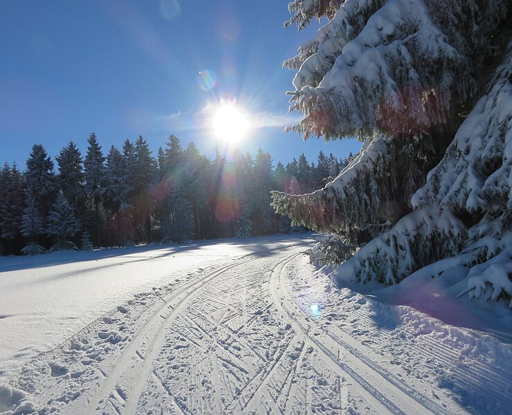 Langlauf Geyer ()