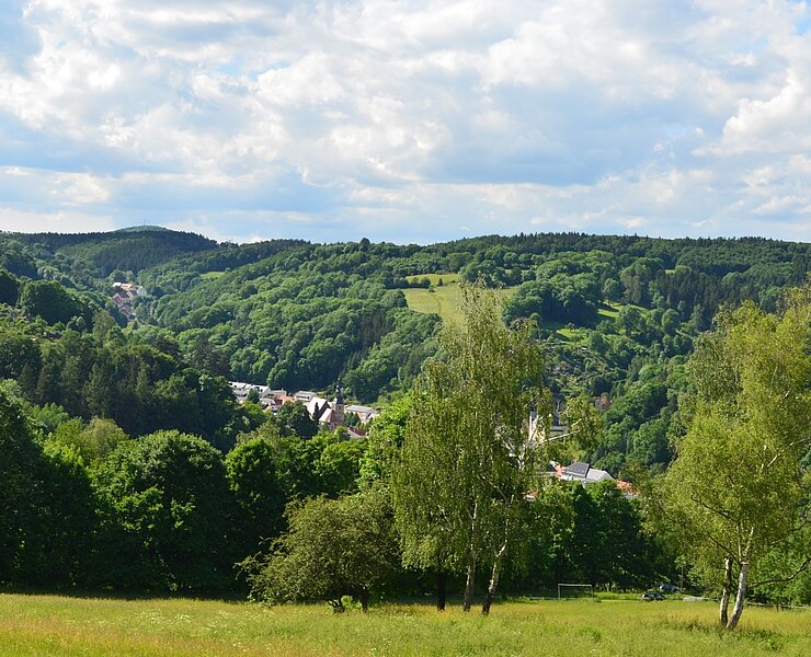  (Bianca Braun, Stadt Glashütte)