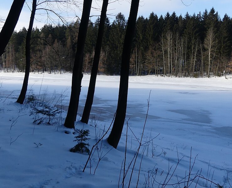  (Steffen Thränert, Natur- und Landschaftsführer)