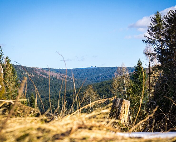 Blick zum Fichtelberg (Tobias Rudelt)