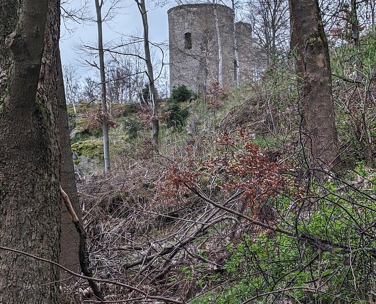 Blick zur Burgruine Niederlauterstein vom Pockautalweg aus (Rico Oelmann)