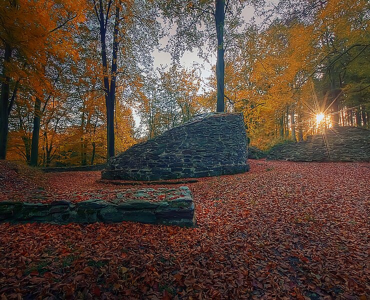  (Mirko Haude)