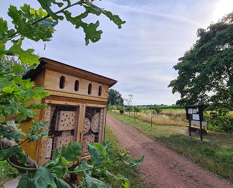 Streuobstwiese mit Insektenhotel (Gemeinde Jahnsdorf)