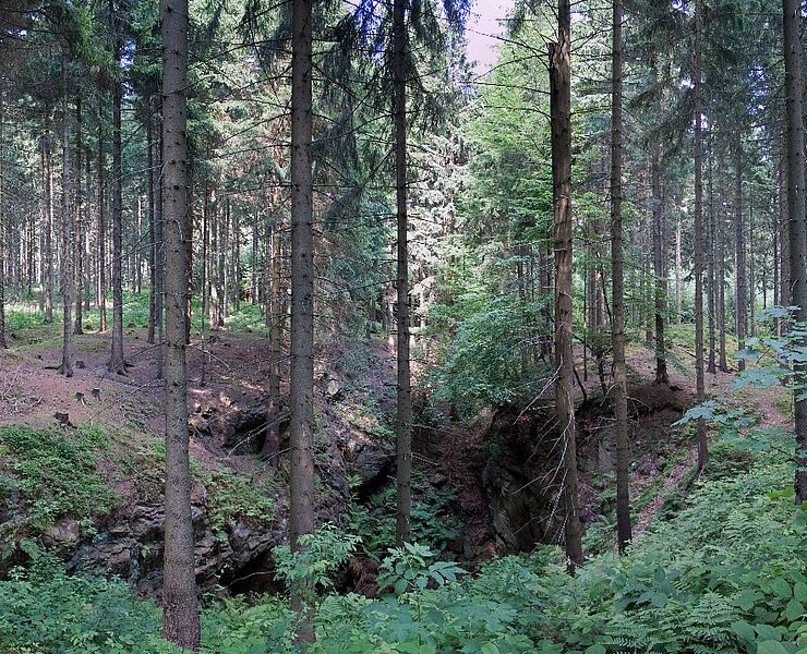 Bergbaulandschaft Buchholz - Alte Thiele Fundgrube (Welterbe Montanregion Erzgebirge e. V. / J. Kugler)