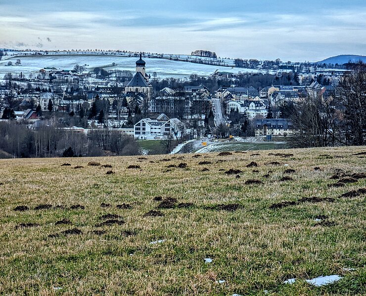Blick auf die Bergstadt Marienberg (Rico Oelmann)