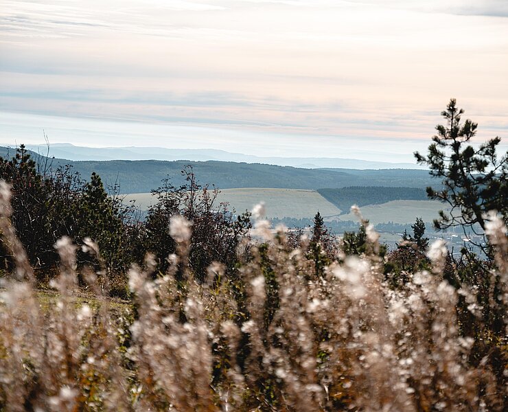 LGO_Fichtelberg-37 ()