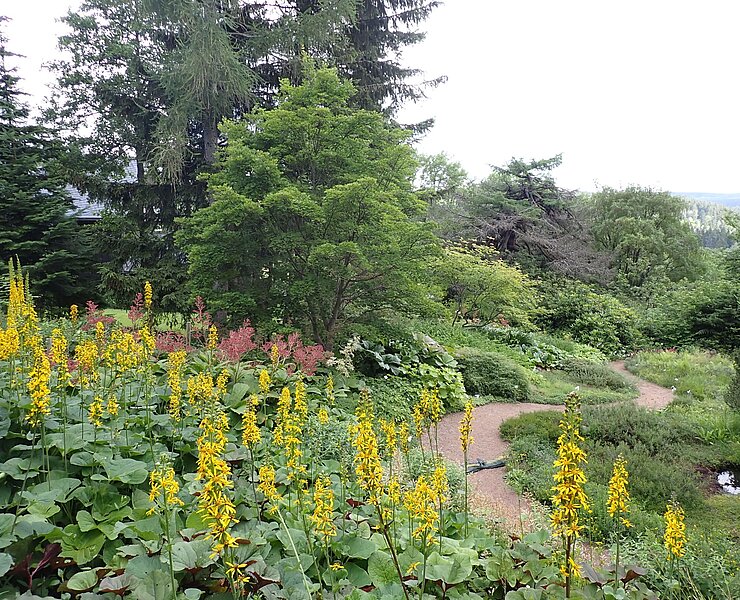 Botanischer Garten Schellerhau ()