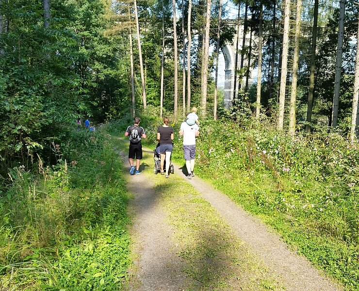 Weg zum Viadukt (Doreen Fiebig)