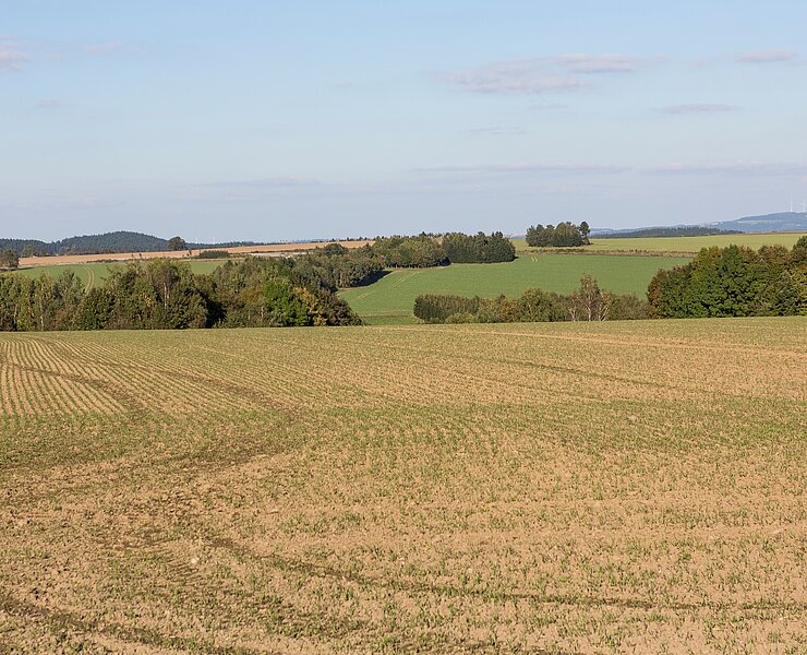 Bauer Morgengang (WFE GmbH Annaberg-Buchholz)
