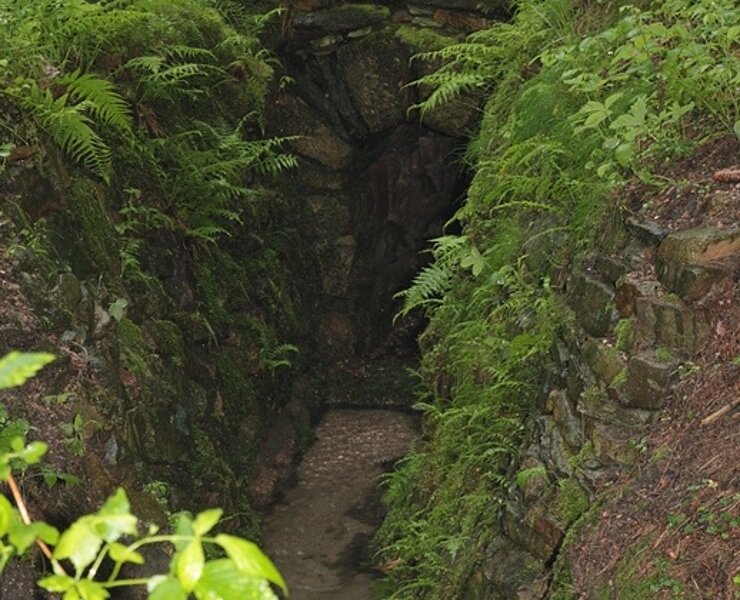 Bergbaulandschaft Hoher Forst - Mundloch Martin-Römer Stolln (Wolfgang Prehl, Kirchberg)