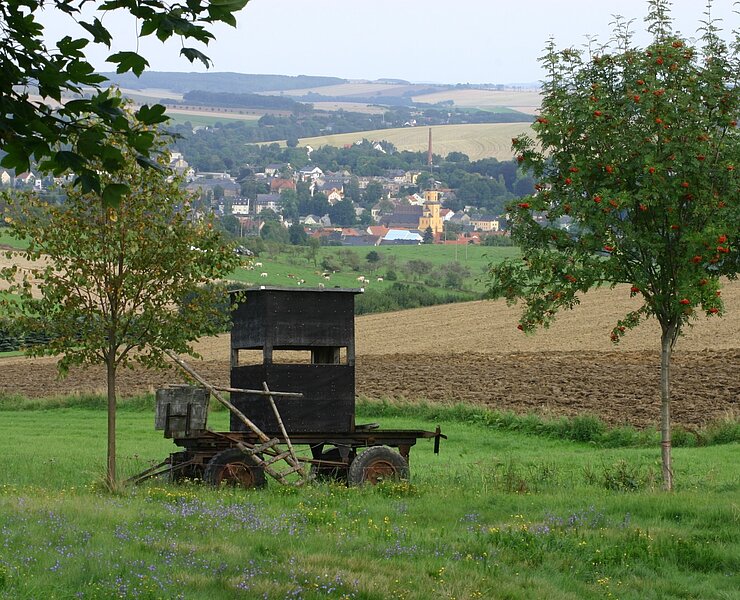  (Ute Florl)