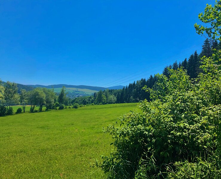 Blick vom Fuße des Scheibenbergs hinaus zum Fichtelberg (Andreas Göbel)