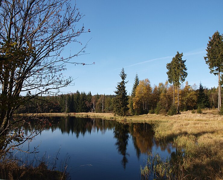 lehmheider Teich (Matthias Drechsel)