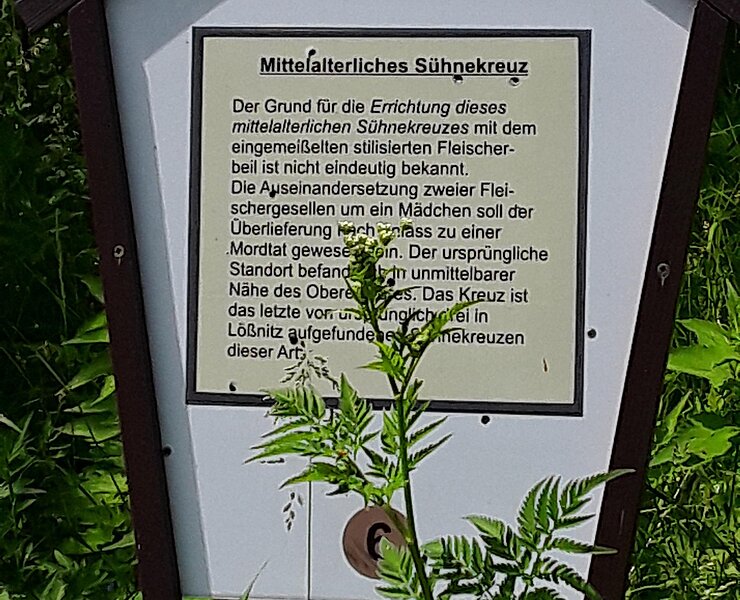 Infotafel: Mittelalterliches Sühnekreuz (Koordinator Städtebund Silberberg)