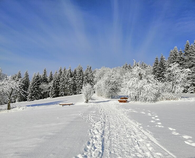 Winterwanderweg rund um Schellerhau ()