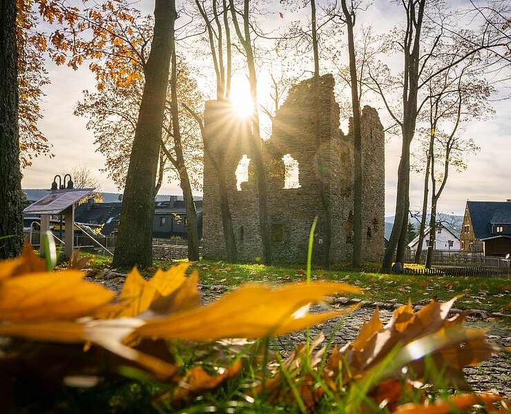Jagdschlossruine im Herbst (Tobias Rudelt)