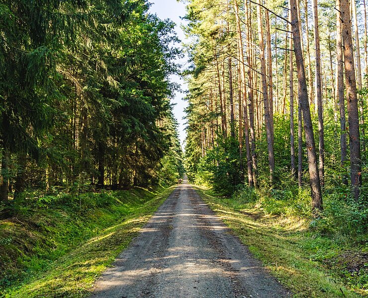 Werdauer Wald ()