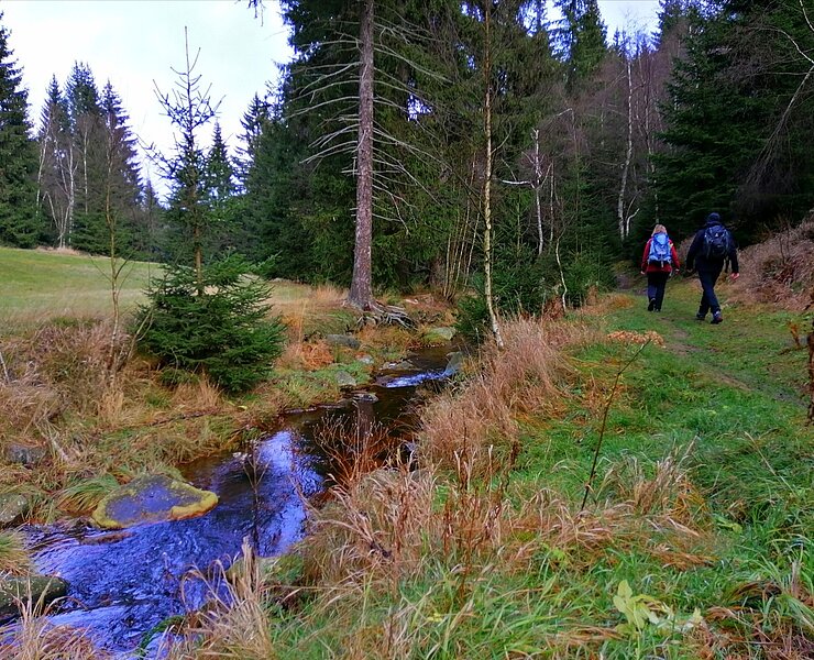 Schellerhau, An der Roten Weißeritz - Wandern ()