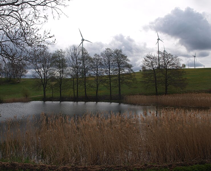 Windpark Dittmannsdorf (Matthias Drechsel)