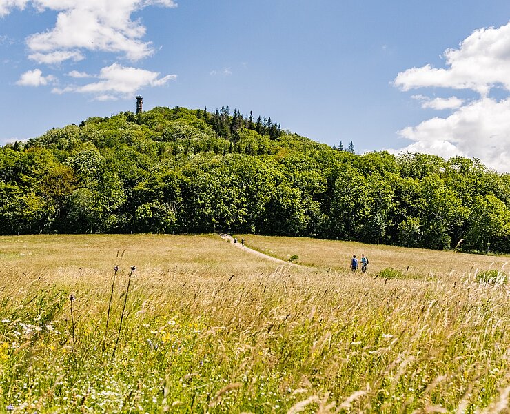 Wandern - Geisingberg (Phillip Maethner)