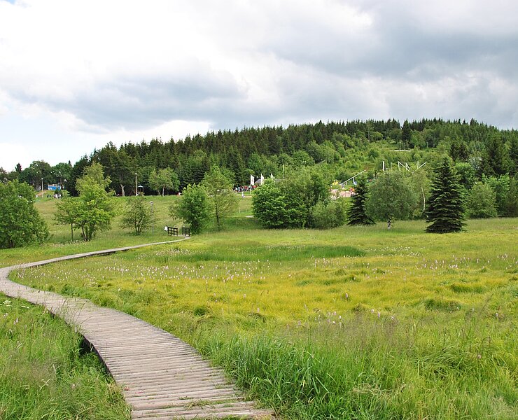 Blick zur Sommerrodelbahn, Erlebnisberg Altenberg ()