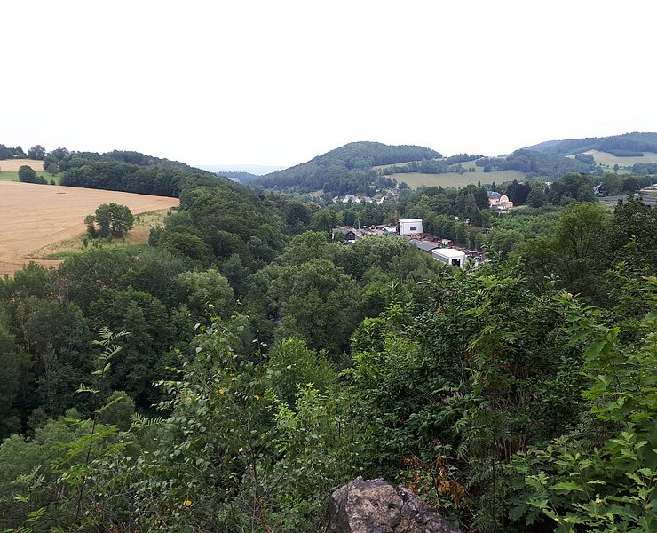 Blick vom Burkhardtswald zum Gehringsberg ()