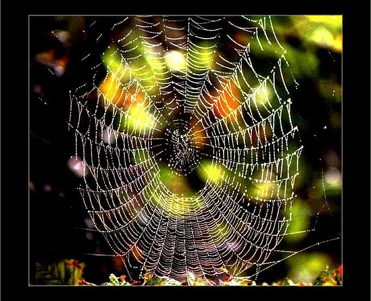  (Matthias Drechsel)