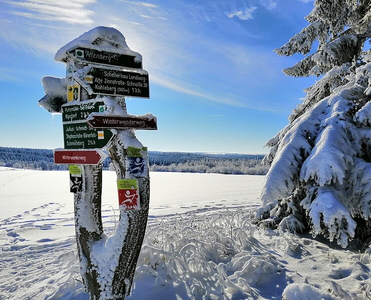 Winterwanderweg in Schellerhau - Urlaubsregion Altenberg (Tourist-Information Altenberg)