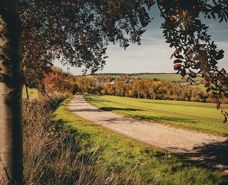 Blick auf Lößnitz - Wanderbarer Silberberg (Theresa Seidler)