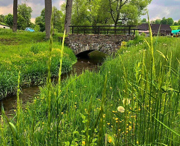 Zschopau mit Brücke am Radweg zwischen Walthersdorf und Crottendorf (Andreas Göbel)