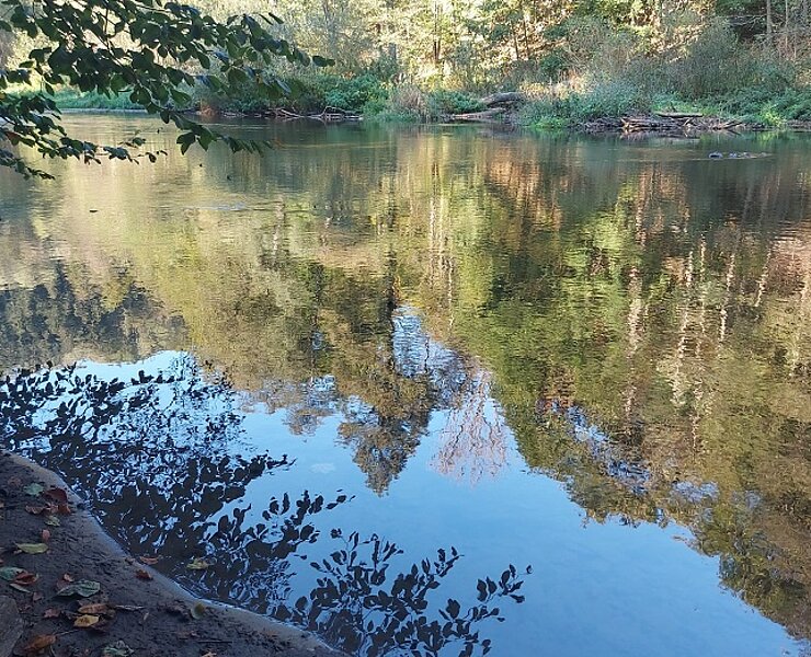 im Zschopautal bei Wilischthal (B. Knöbel)