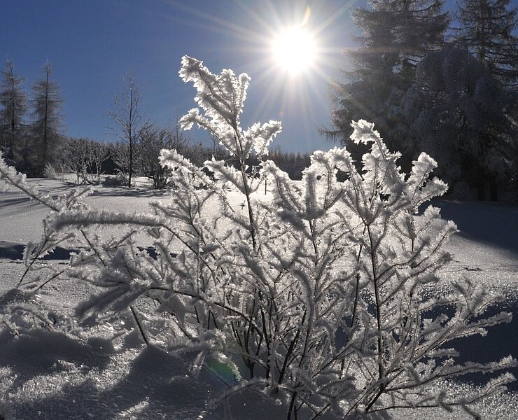 Winter Zinnwald (Egbert Kamprath)