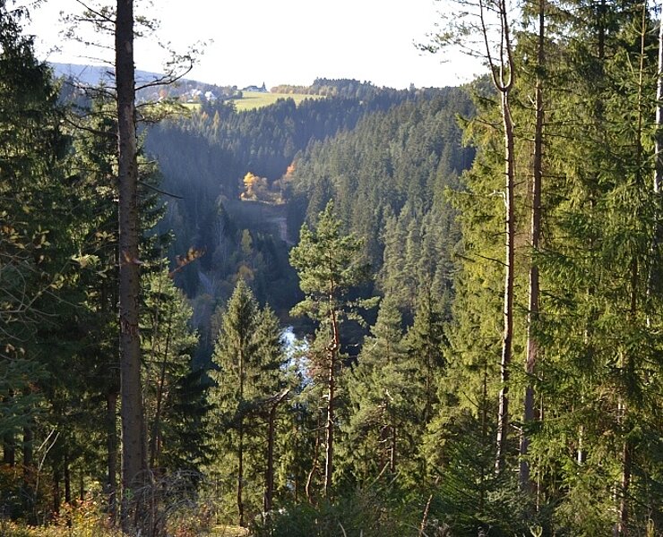 Blick Richtung Stütuengrün (Thomas Müller)