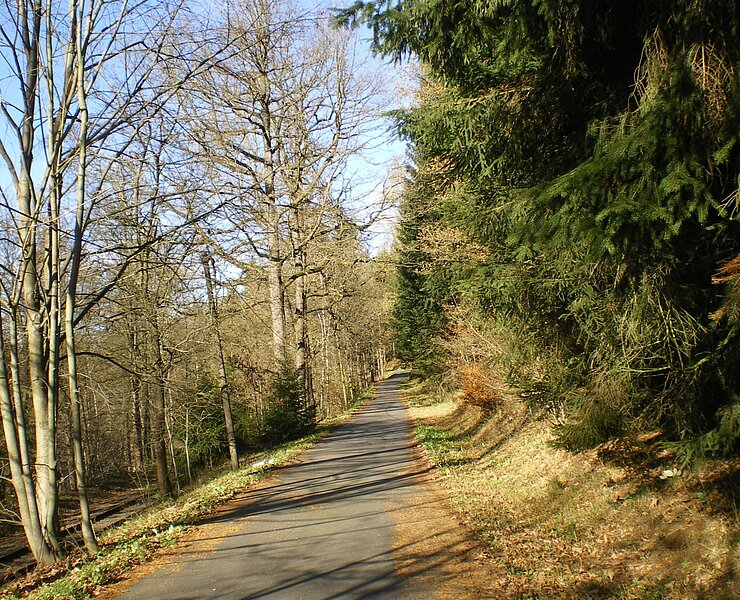 Am Flöhatalradweg ()
