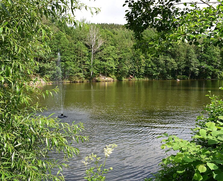 Eckhardteich (Corinna Bergelt)