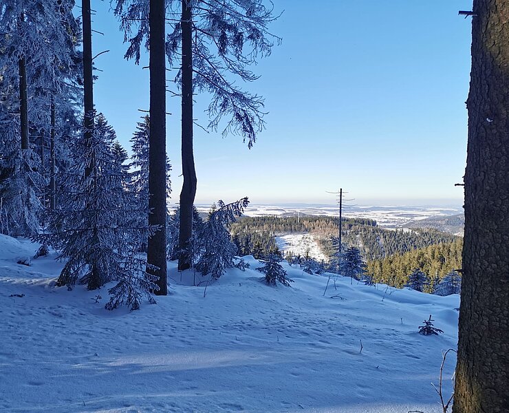 Ausblick Langer Weg, Winter Oberbärenburg (Sandra Böhme)