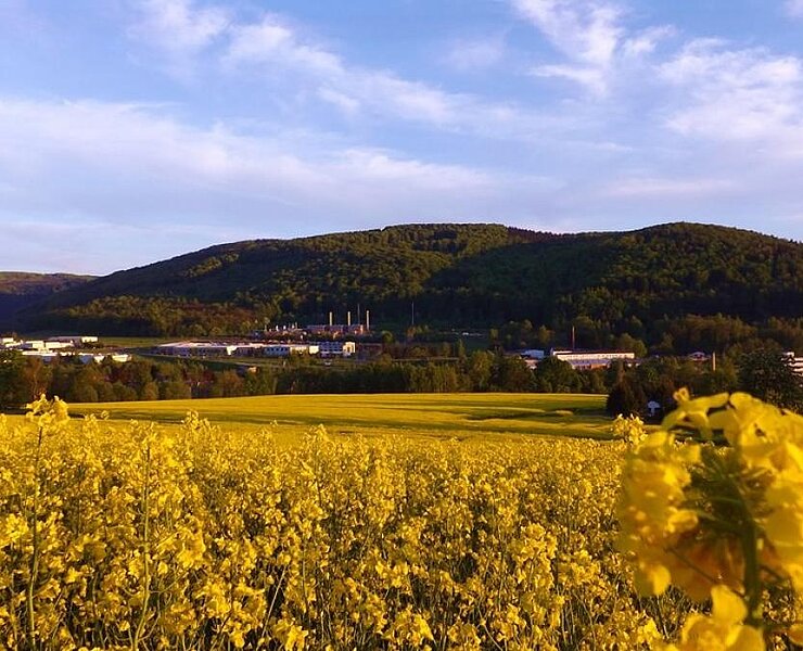 Blick ins Flöhatal (Olbernhau) (Matthias Drechsel)