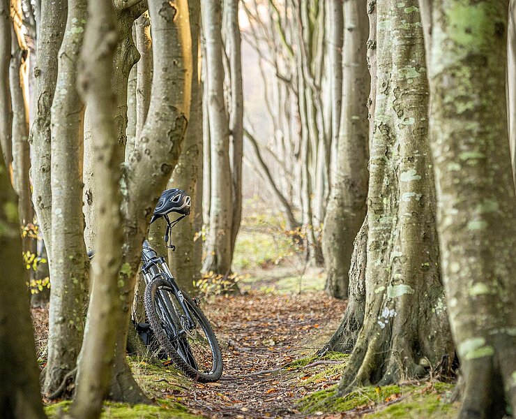 Fahrrad (Tourist Info)