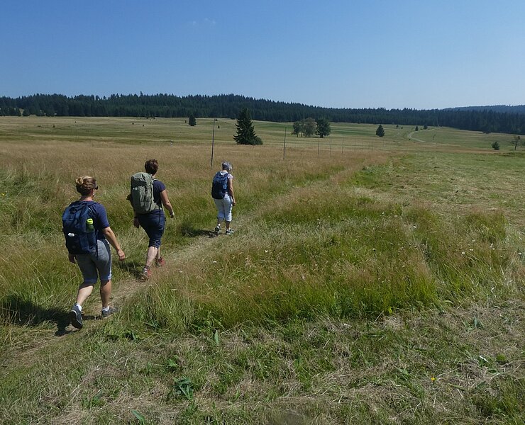 Wanderer im böhmischen Erzgebirge (Kai Härtel, erlebnisschmiede-erzgebirge.de)