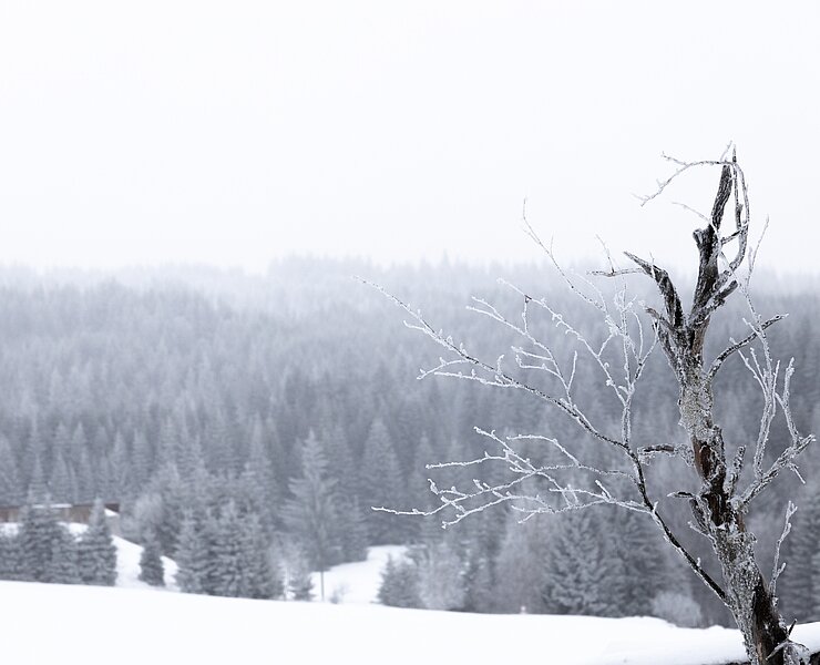 Stonemen on Snow (Photoron Ronny Küttner)