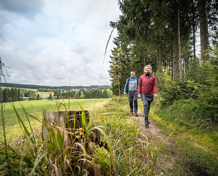 auf dem Kammweg bei Carlsfeld (D. Stratmann)