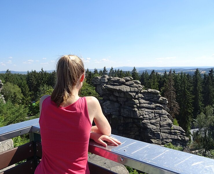 Ausblick von den Greifensteinen (Elena Weber)