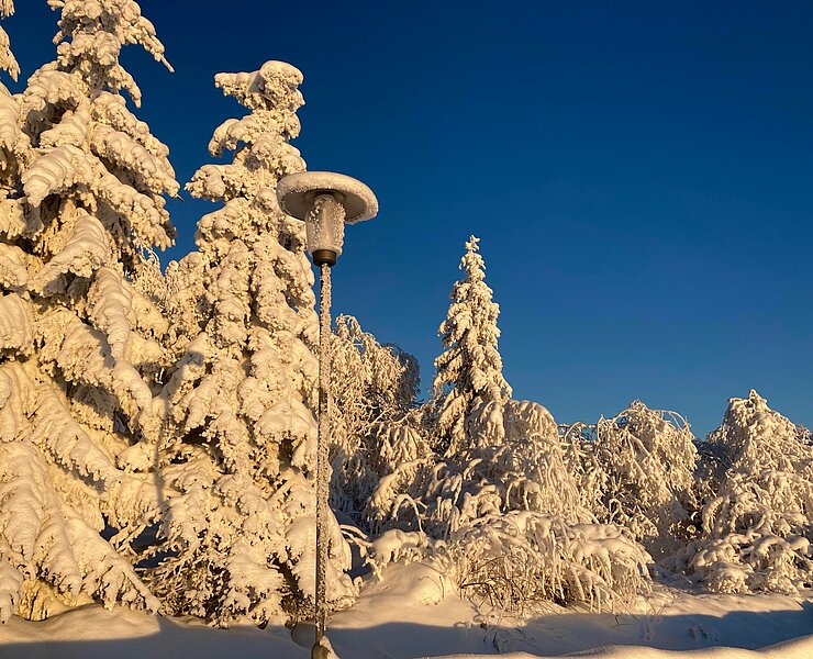 Zinnwalder Winter1 (Ferienhaus Zirbenliebe - Beate Zier)