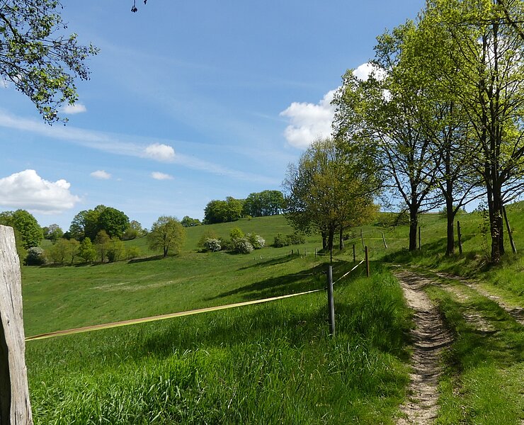  (Steffen Thränert, Natur- und Landschaftsführer)