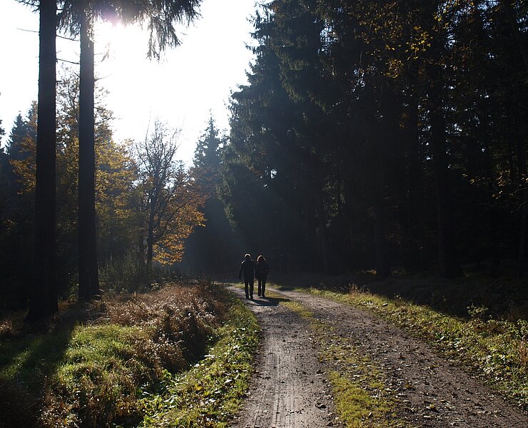 Auf dem Vierer Weg (Matthias Drechsel)