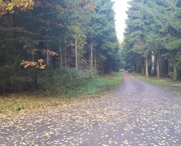Grünberger Rundweg (Doreen Fiebig)