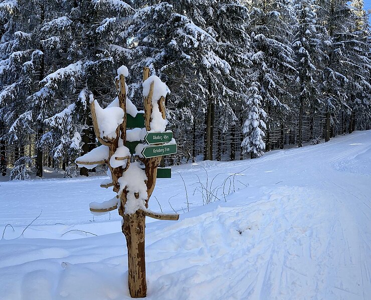 Loipe L3 Pöbelknochen Winter ()