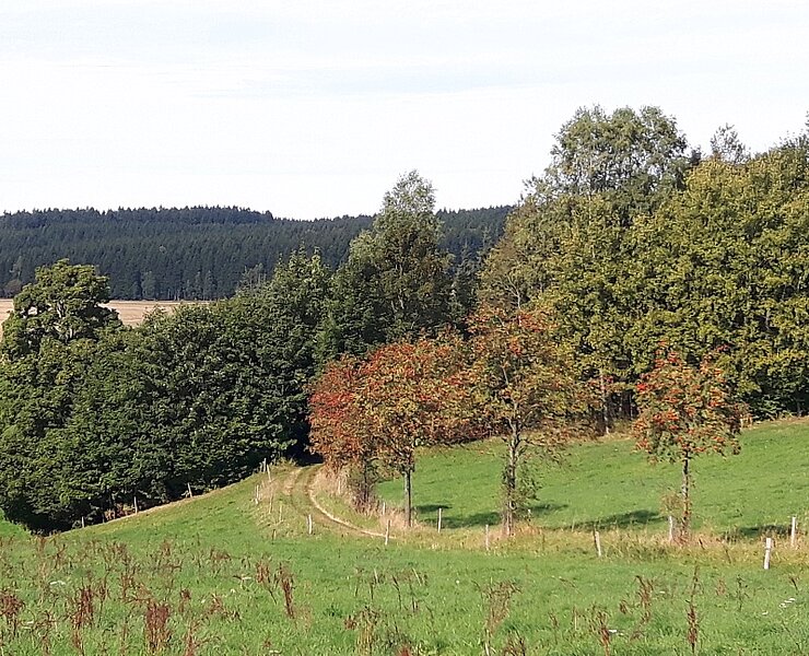  (Undine Weise Neuhausen Tourismus)