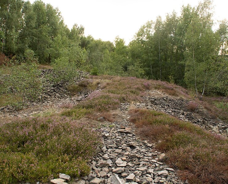 Halden- und Pingengelände (WFE GmbH Annaberg-Buchholz)